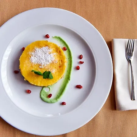 Hotel Platinum Image Elin Pelin