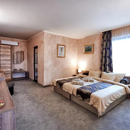 Hotel Platinum Image Elin Pelin